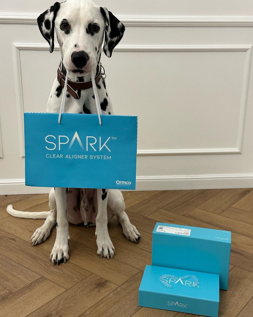 @doctoresromero Instagram